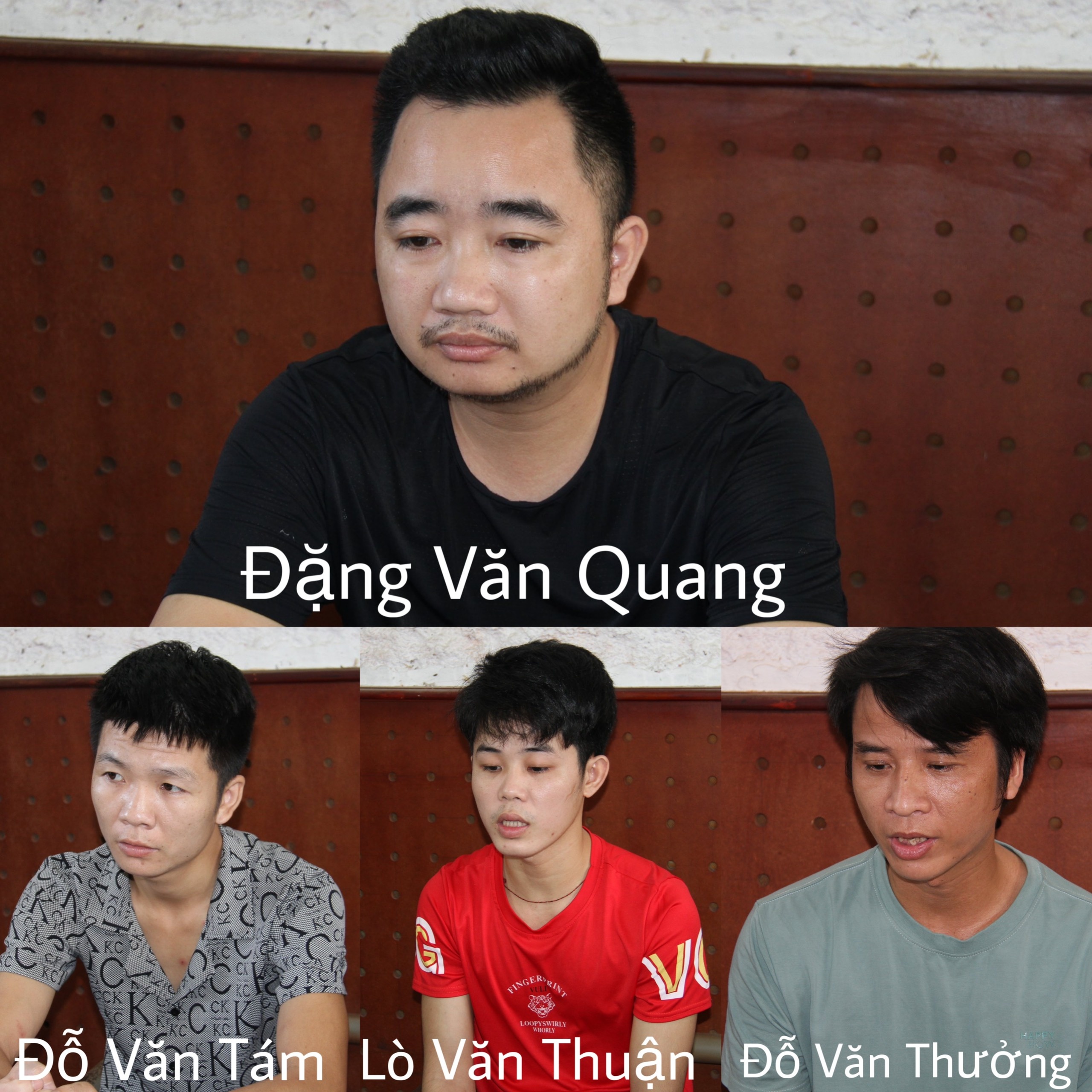 bao nuoi gai ban dam anh 1