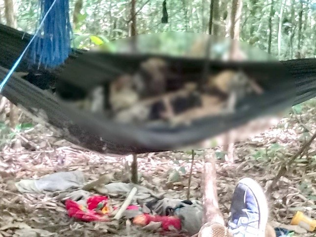 2 thi the tren vong anh 1