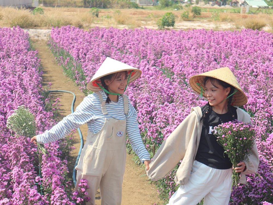 vuon hoa thach thao ba ria anh 12