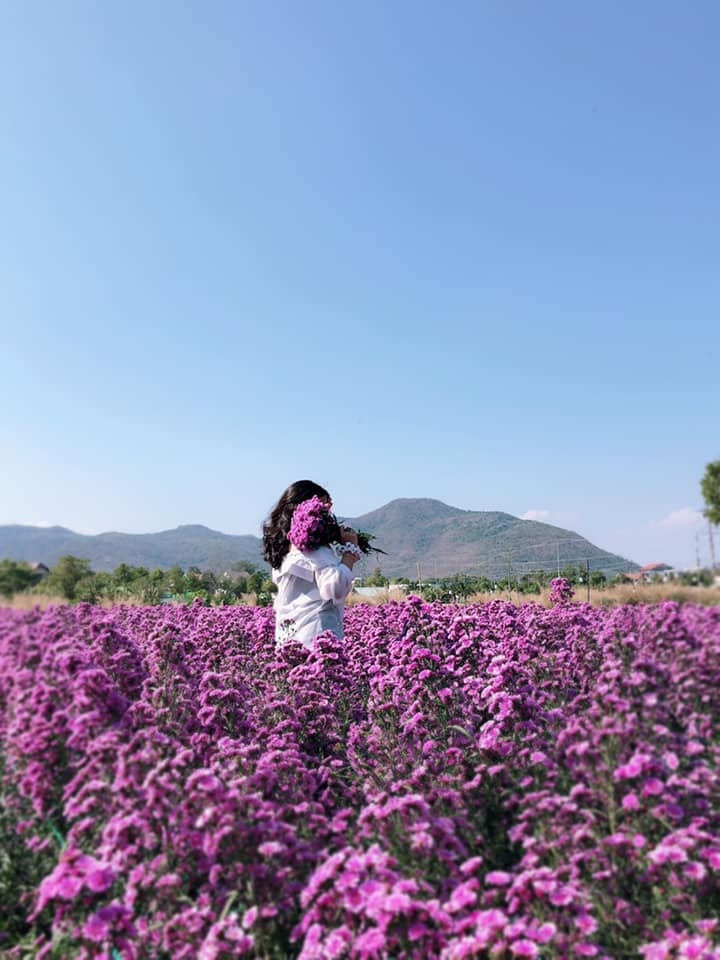 vuon hoa thach thao ba ria anh 8