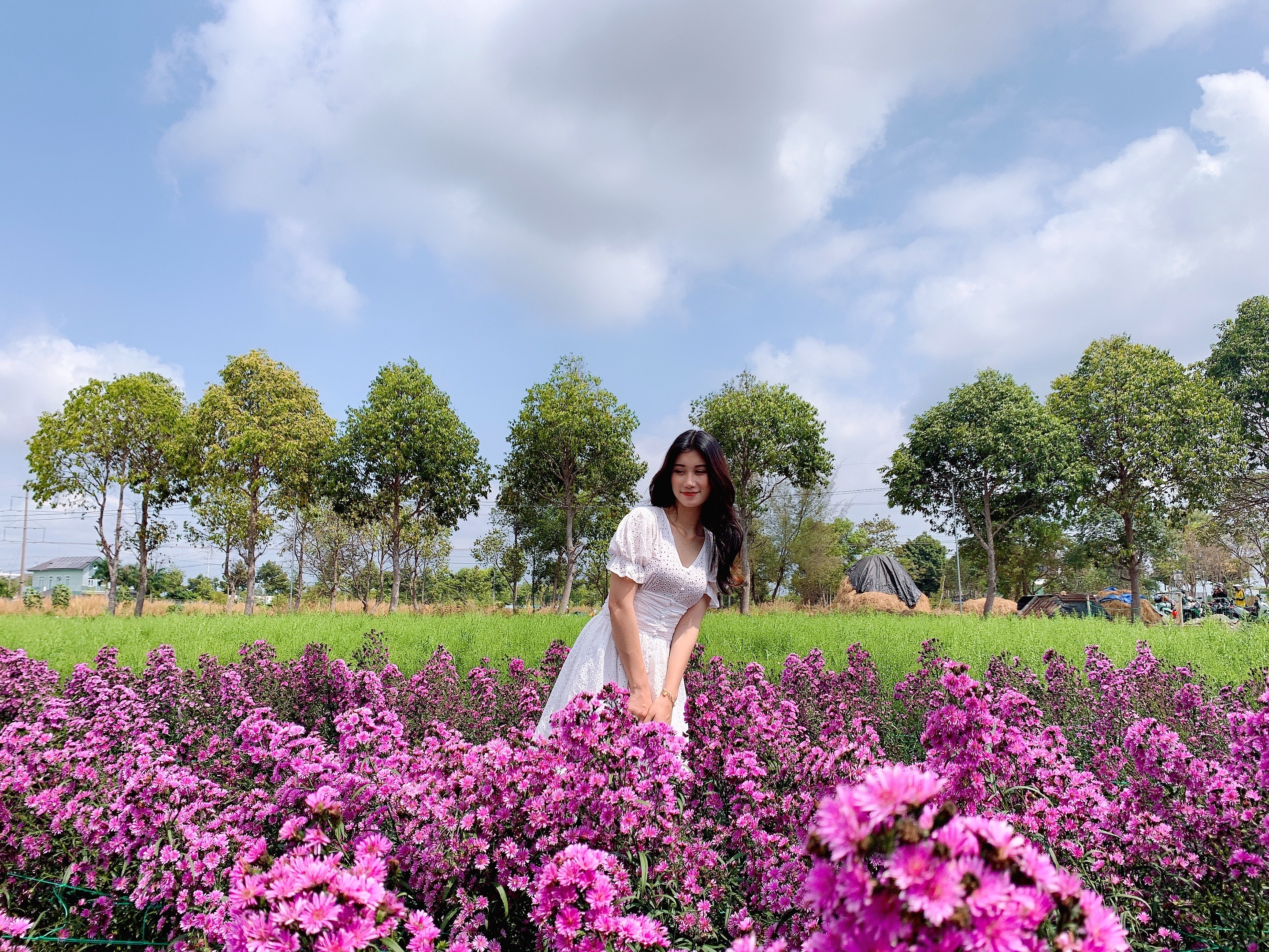 vuon hoa thach thao ba ria anh 15