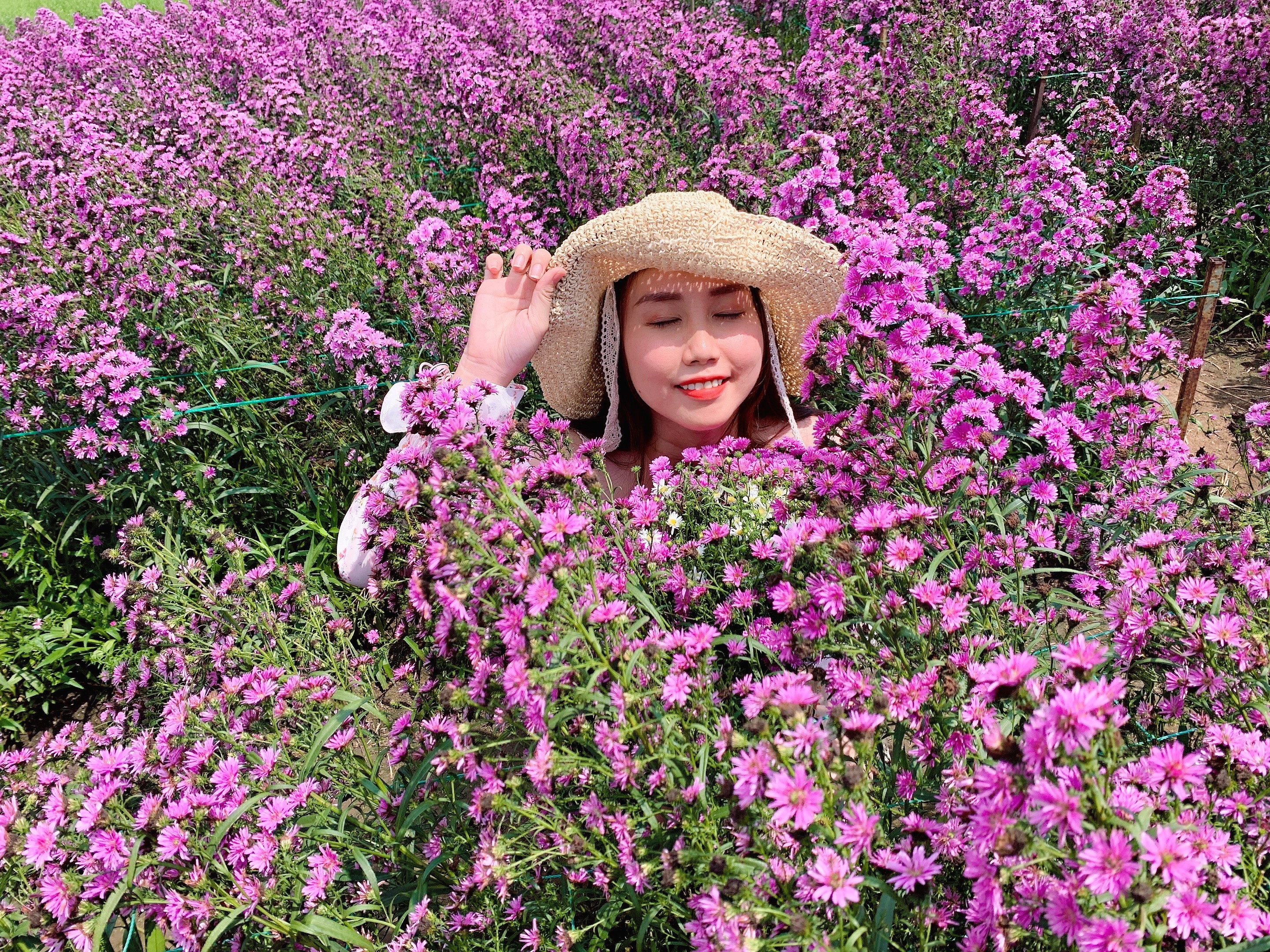 vuon hoa thach thao ba ria anh 5