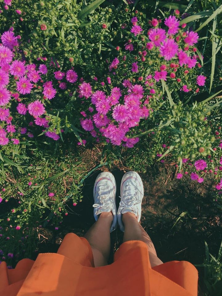 vuon hoa thach thao ba ria anh 19