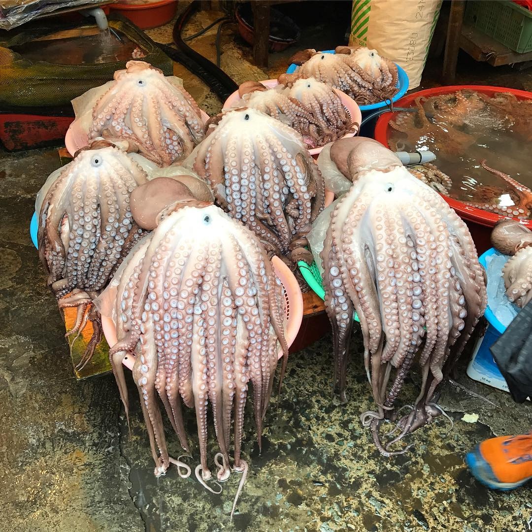 trải nghiệm tại busan ảnh 2 trai nghiem tai busan anh 2