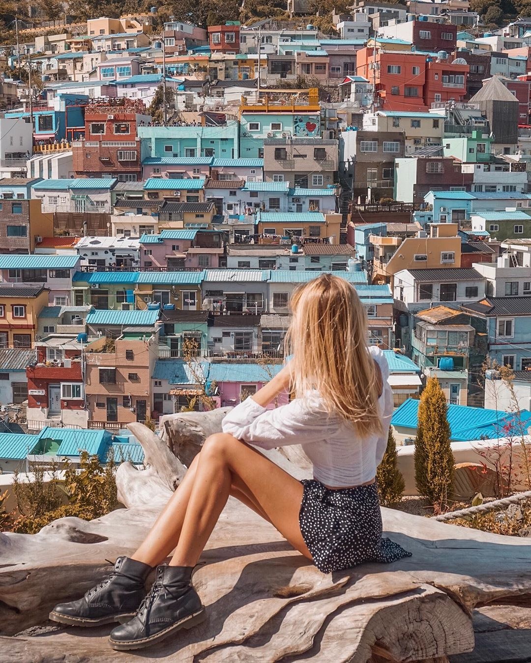trải nghiệm tại busan ảnh 4 trai nghiem tai busan anh 4
