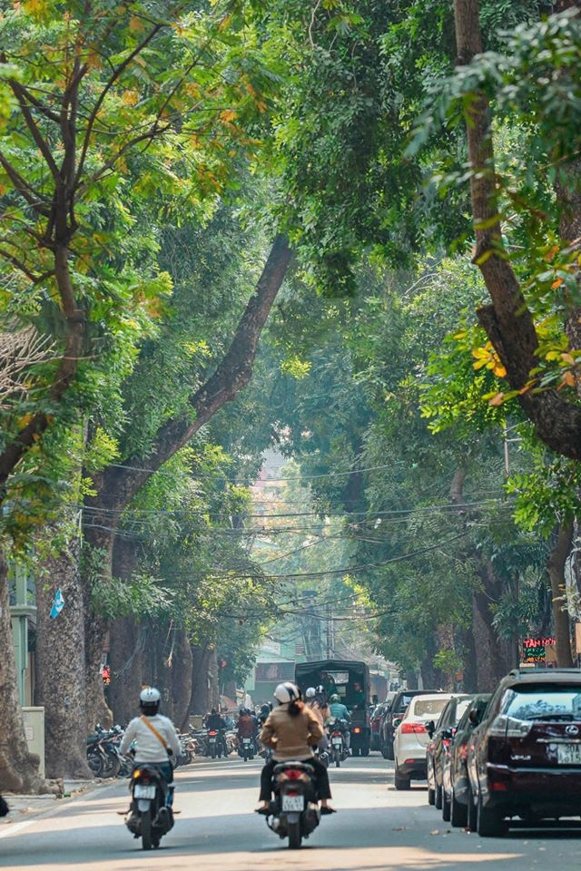 Hà Nội yên bình qua ảnh ảnh 14 Ha Noi yen binh qua anh anh 14