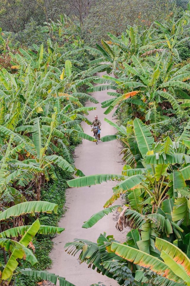 Hà Nội yên bình qua ảnh ảnh 17 Ha Noi yen binh qua anh anh 17