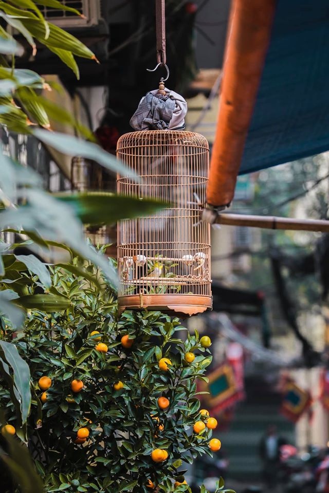 Hà Nội yên bình qua ảnh ảnh 28 Ha Noi yen binh qua anh anh 28