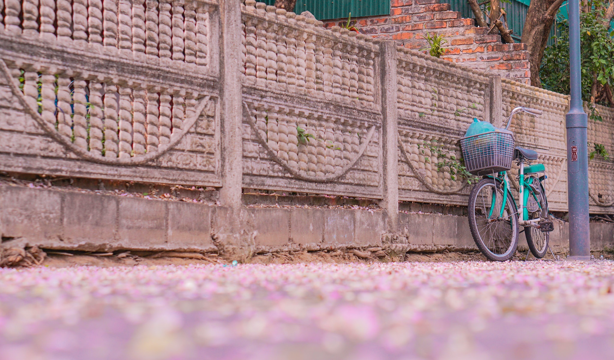 Huế ảnh 11 Hue anh 11