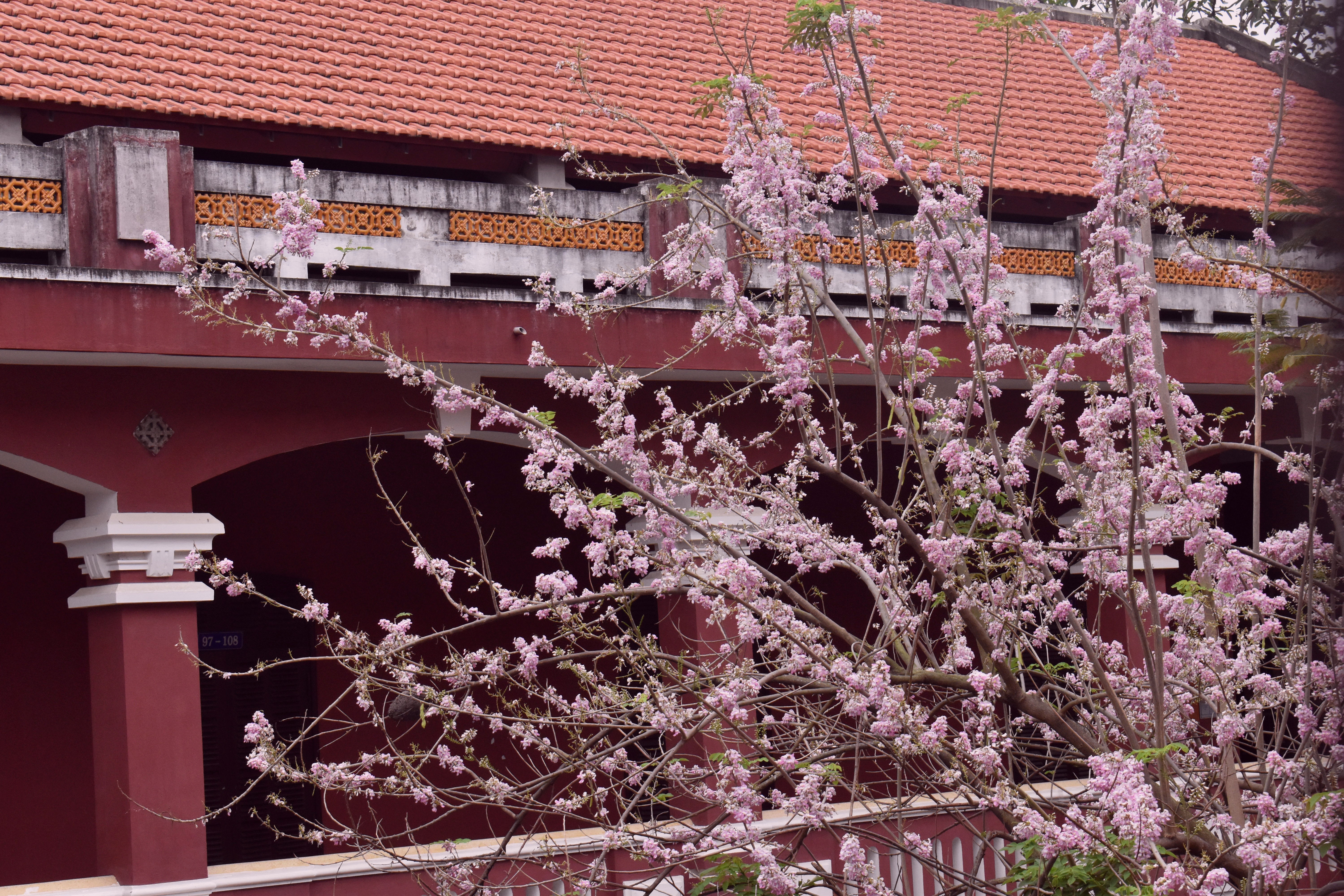 Huế ảnh 3 Hue anh 3