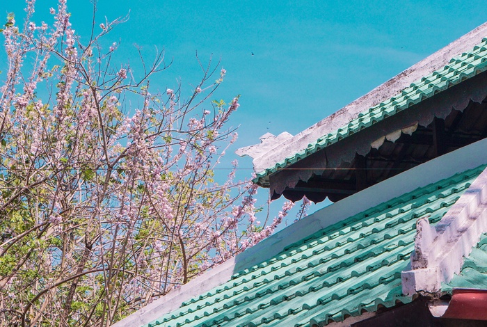 Huế ảnh 10 Hue anh 10