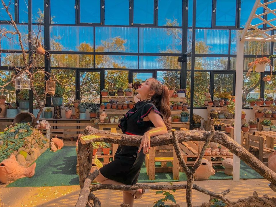 Song ao cung sen da tai quan ca phe Da Lat hinh anh