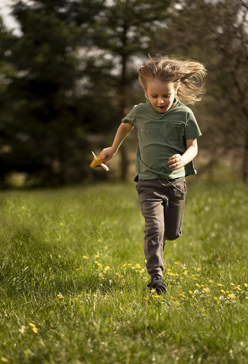 Green 2020 ảnh 7 Green 2020 anh 7