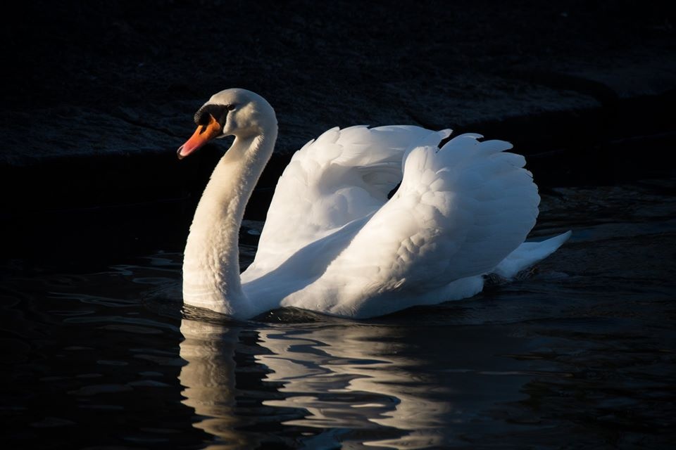 châu Âu ảnh 31 chau Au anh 31