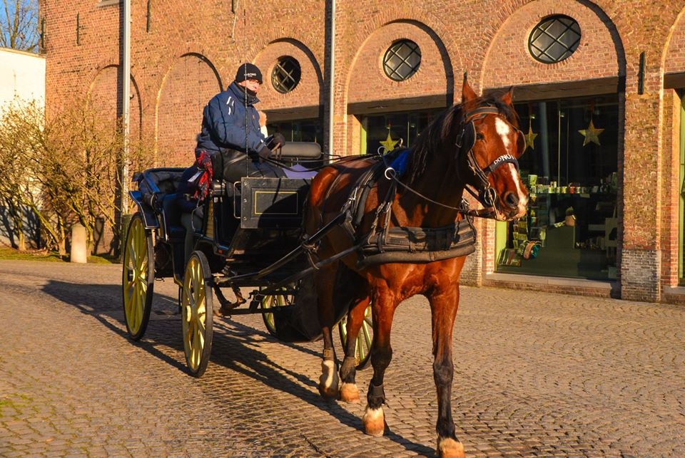 châu Âu ảnh 27 chau Au anh 27