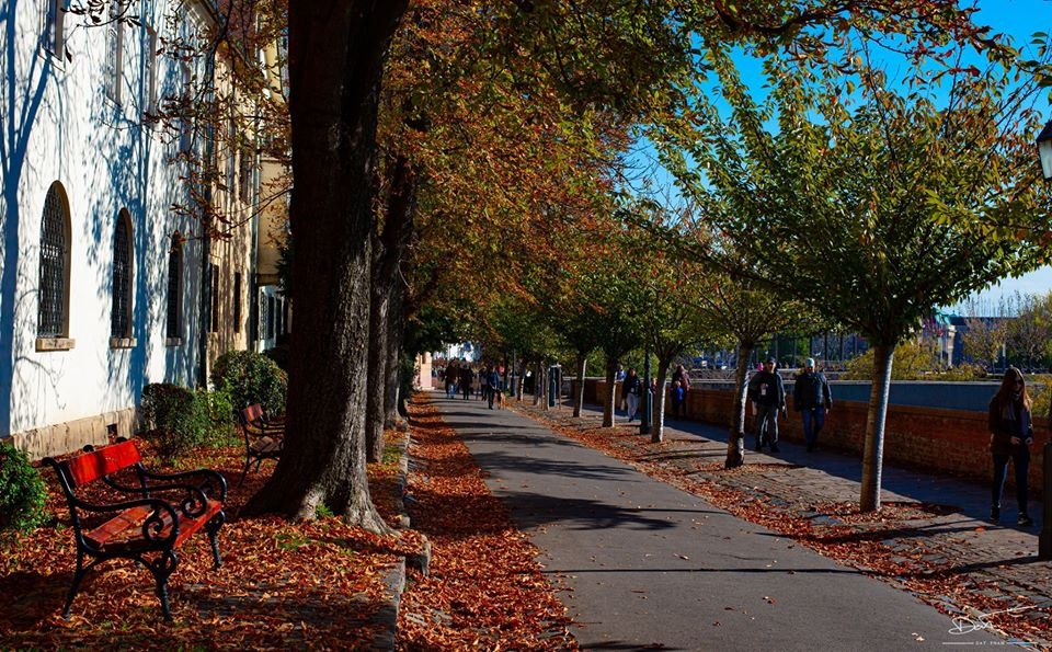 châu Âu ảnh 17 chau Au anh 17