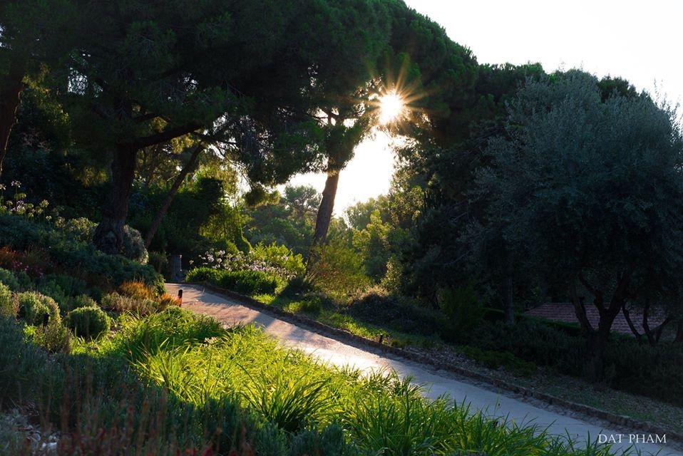 châu Âu ảnh 38 chau Au anh 38