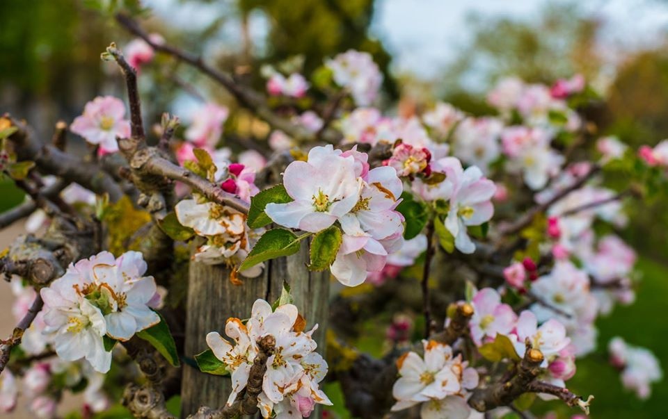 châu Âu ảnh 50 chau Au anh 50