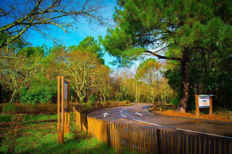 châu Âu ảnh 41 chau Au anh 41