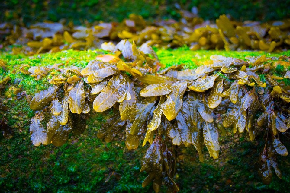 châu Âu ảnh 42 chau Au anh 42