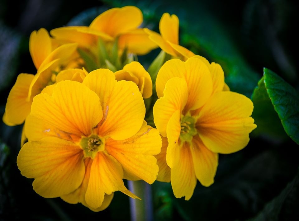 châu Âu ảnh 52 chau Au anh 52