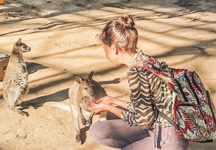 Check-in cung kangaroo, lac da tai khu du lich Da Lat hinh anh