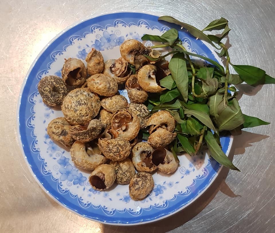 ốc ảnh 5 oc anh 5