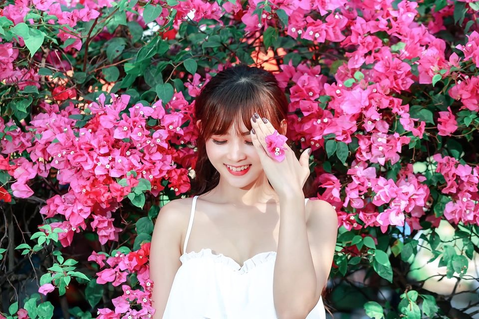 Hoa giay khoe sac tren goc pho Sai thanh hinh anh