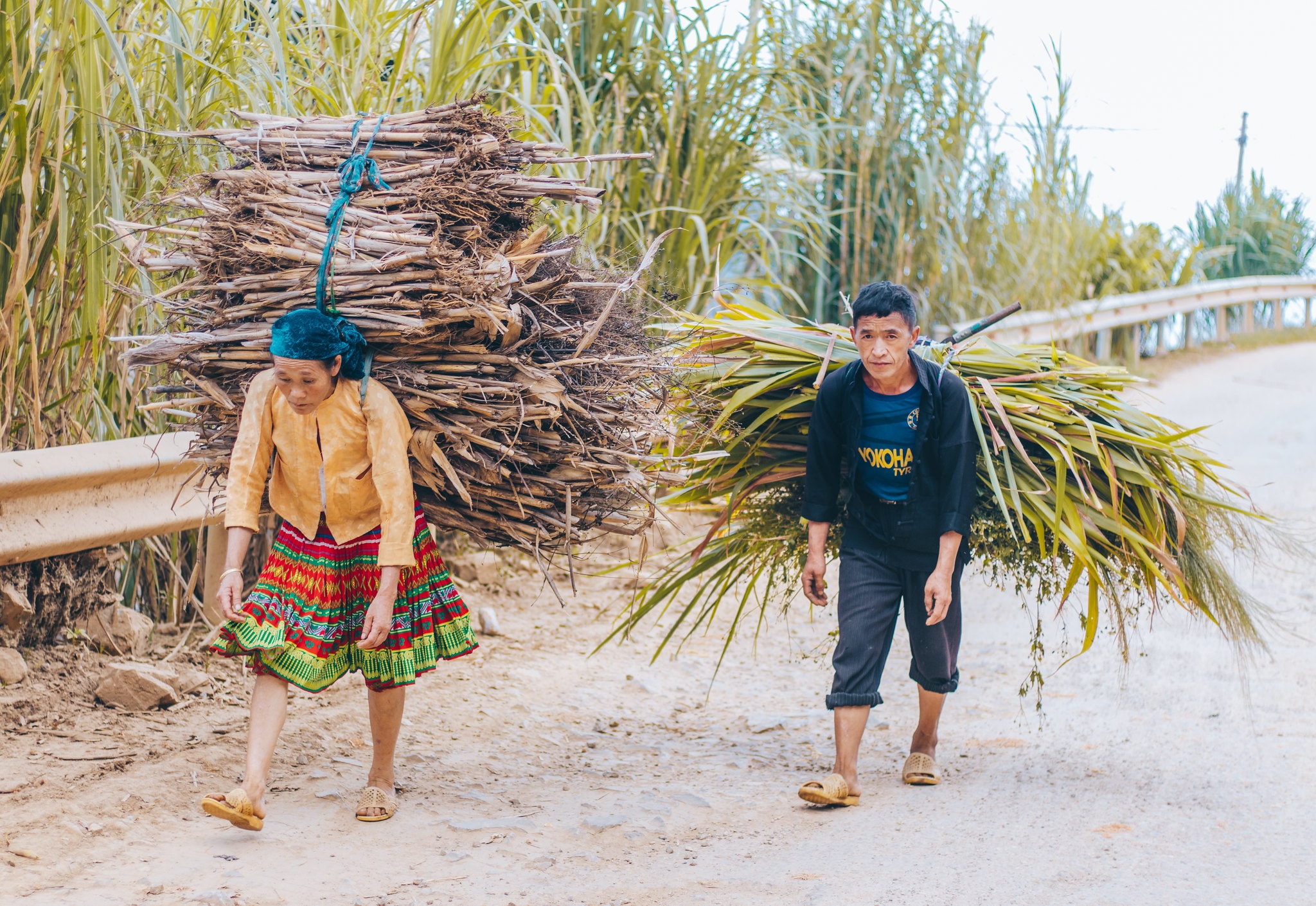 Hà Giang ảnh 18 Ha Giang anh 18