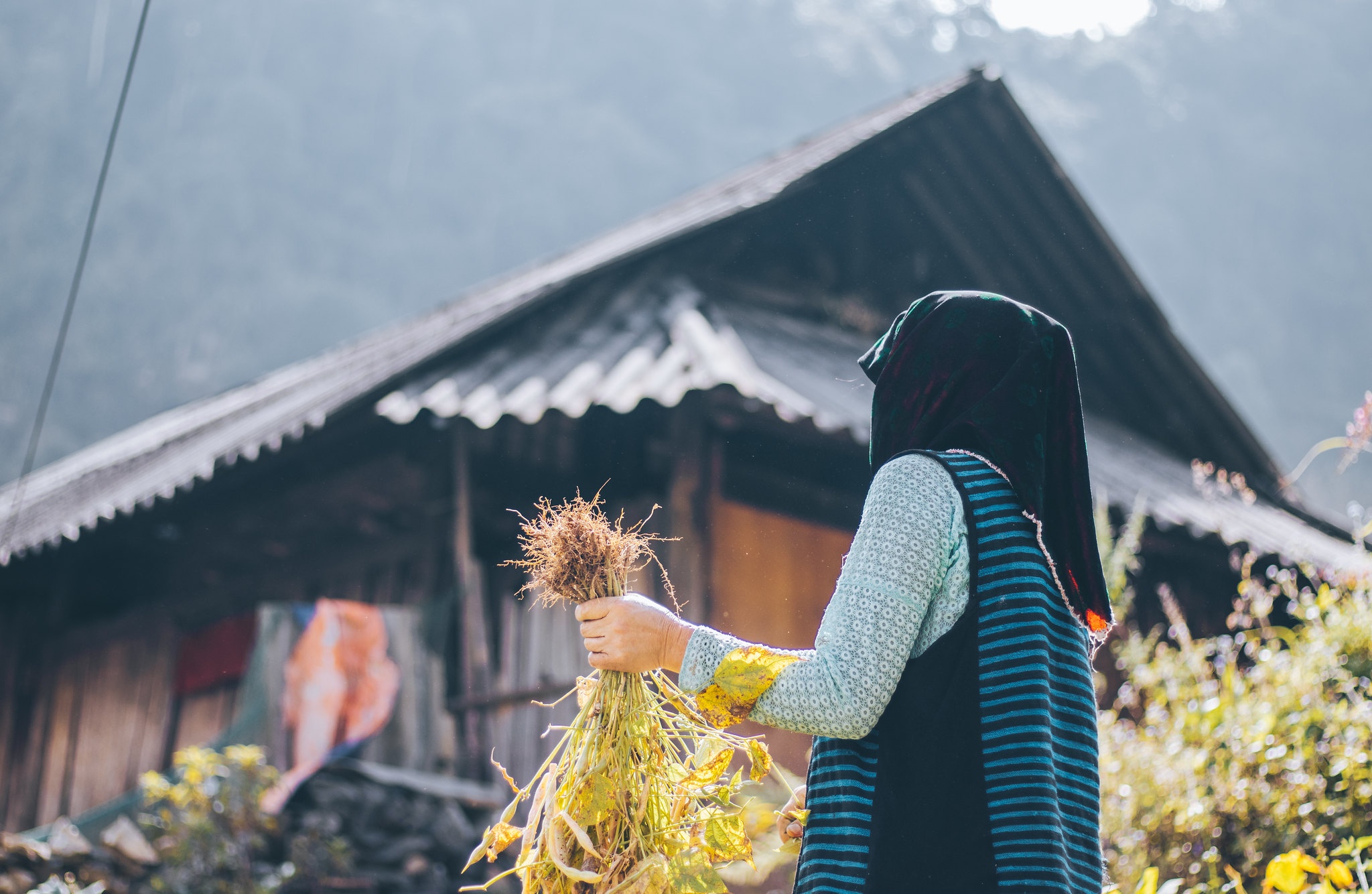 Hà Giang ảnh 14 Ha Giang anh 14