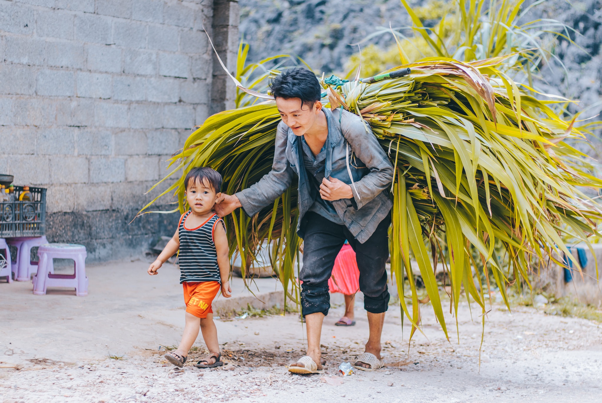 Hà Giang ảnh 19 Ha Giang anh 19