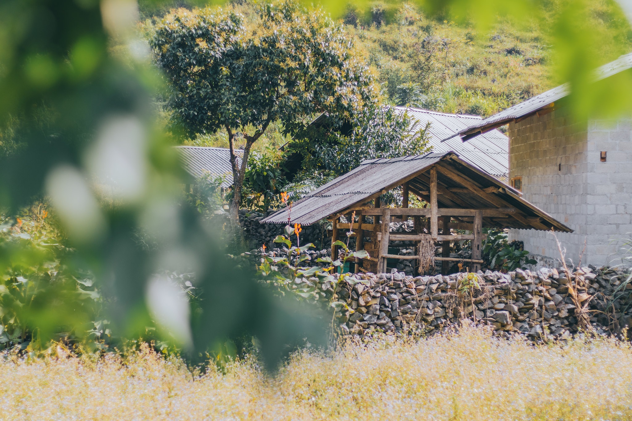 Hà Giang ảnh 9 Ha Giang anh 9