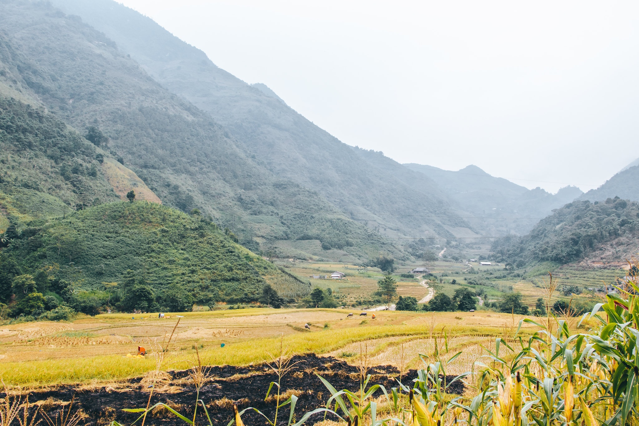 Hà Giang ảnh 6 Ha Giang anh 6