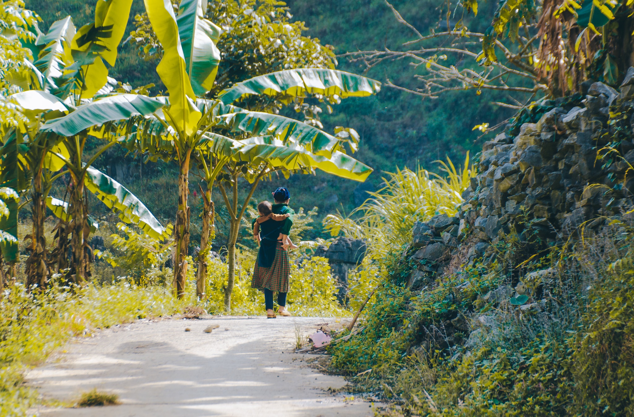 Hà Giang ảnh 10 Ha Giang anh 10