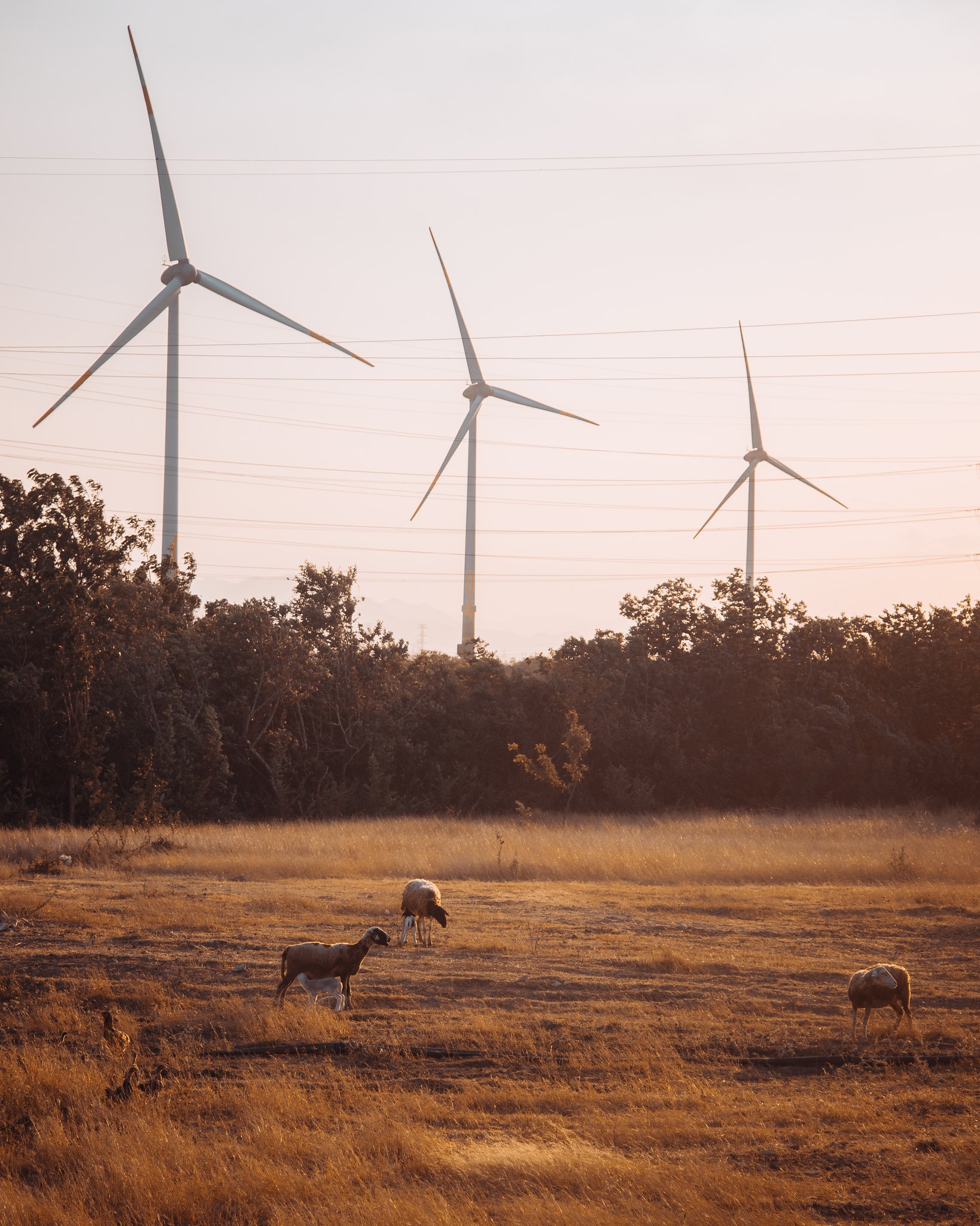 hoàng hôn ảnh 2 hoang hon anh 2