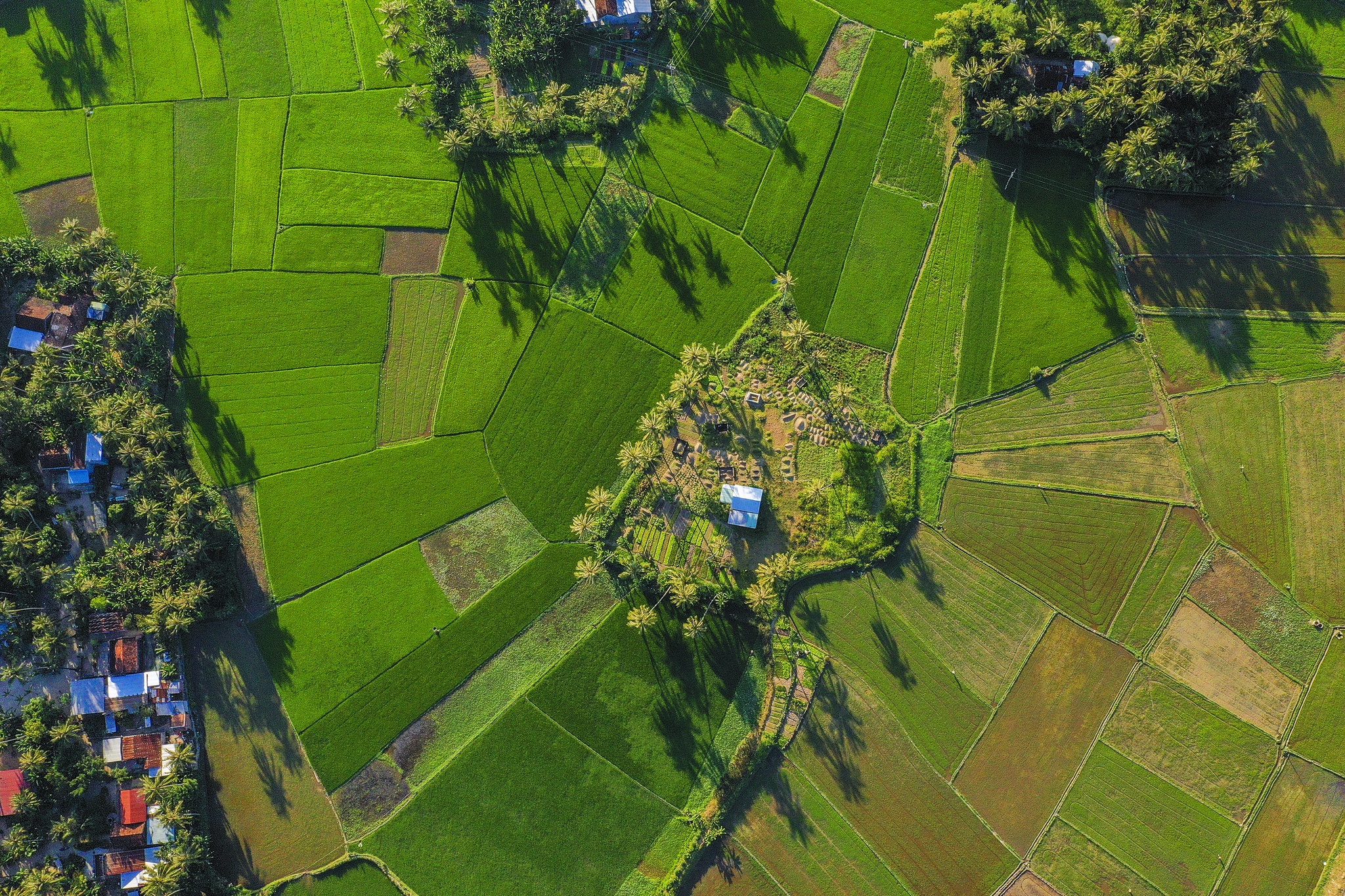 Phú Yên ảnh 10 Phu Yen anh 10