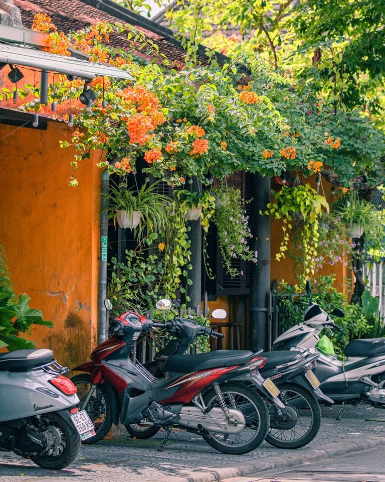 Hoi An anh 27