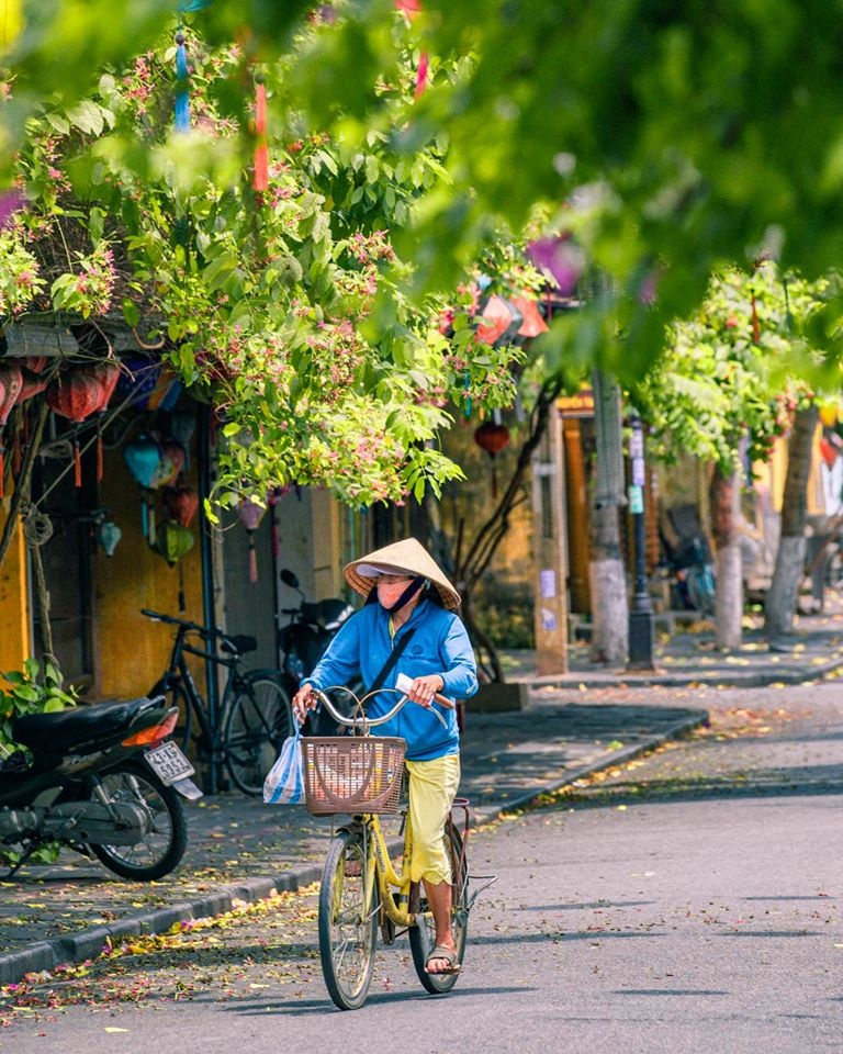 Hoi An anh 8