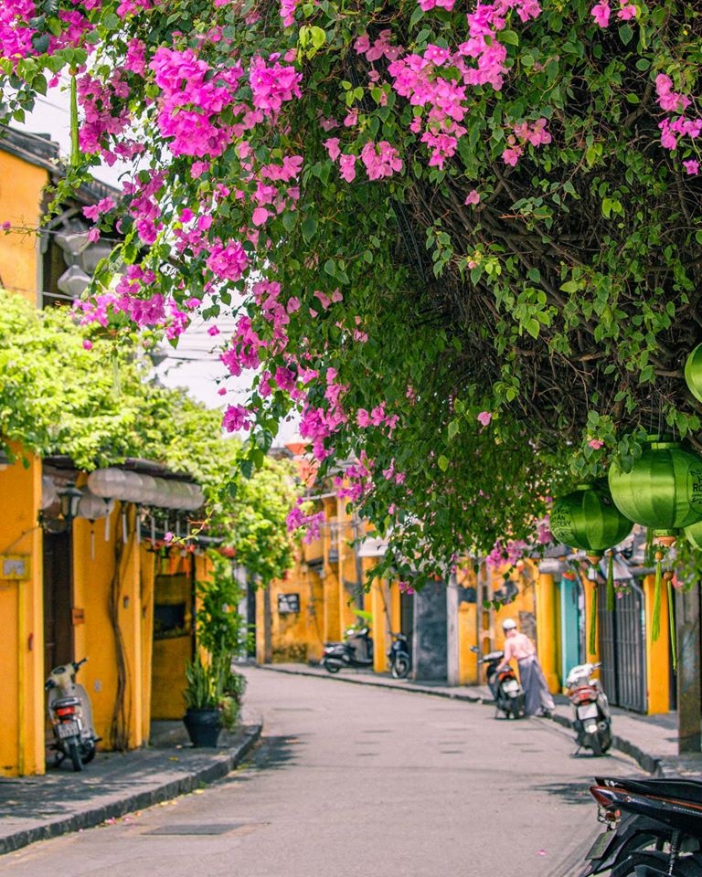 Hoi An anh 22