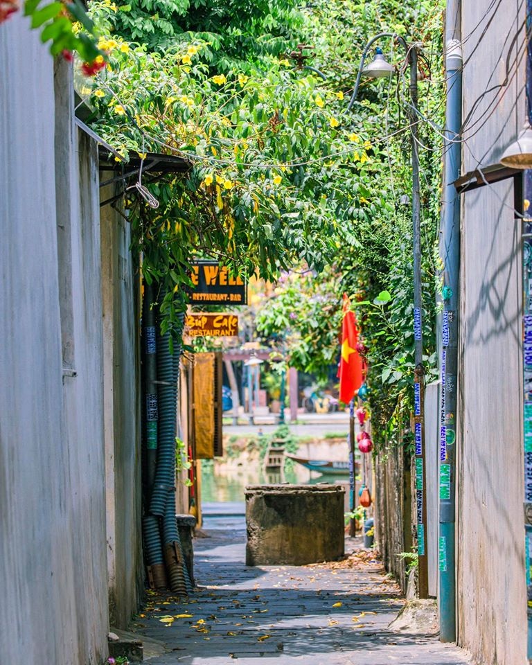 Hoi An anh 12