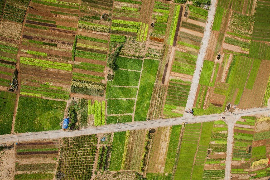 Du lịch Hội An: Ăn gì,  chơi gì,  ở đâu? ảnh 11 Du lich Hoi An: An gi,  choi gi,  o dau? anh 11