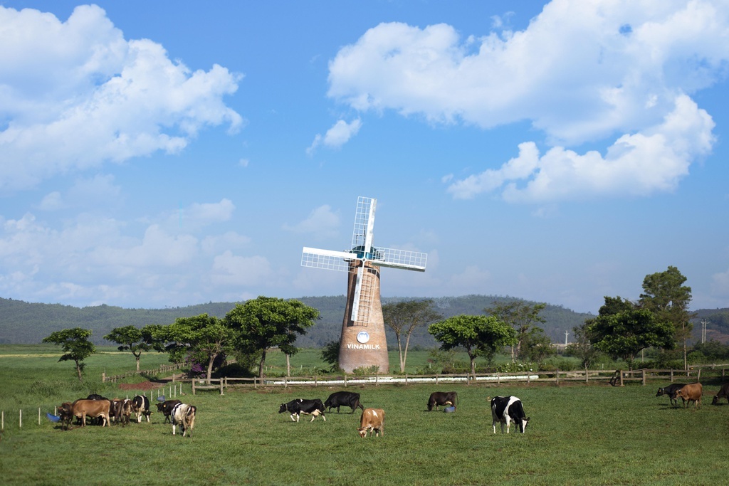 Đà Lạt ảnh 4 Da Lat anh 4