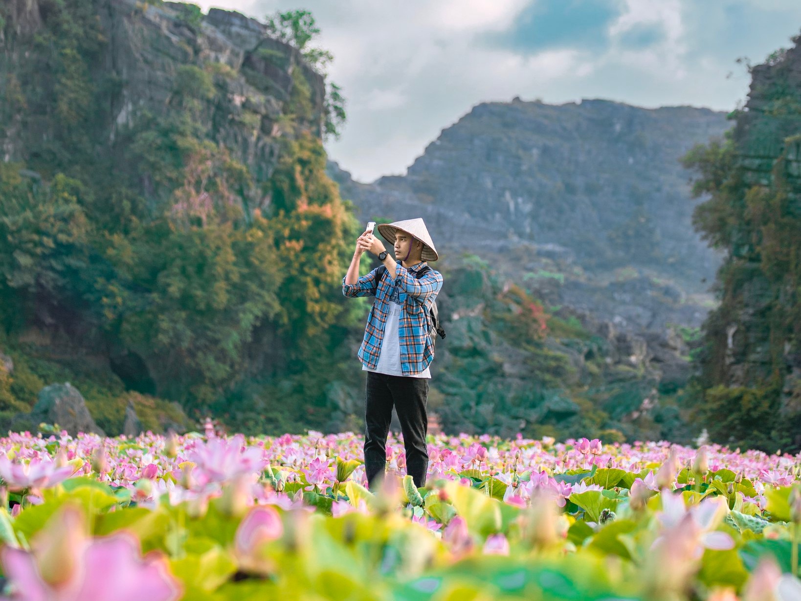 Canh dep o canh dong sen Ninh Binh hinh anh