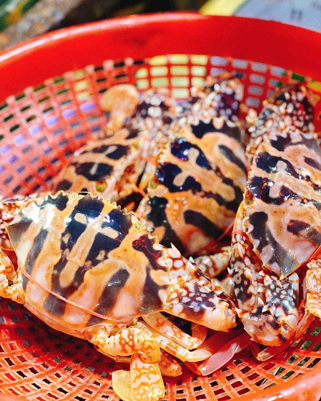 Vũng Tàu ảnh 6 Vung Tau anh 6