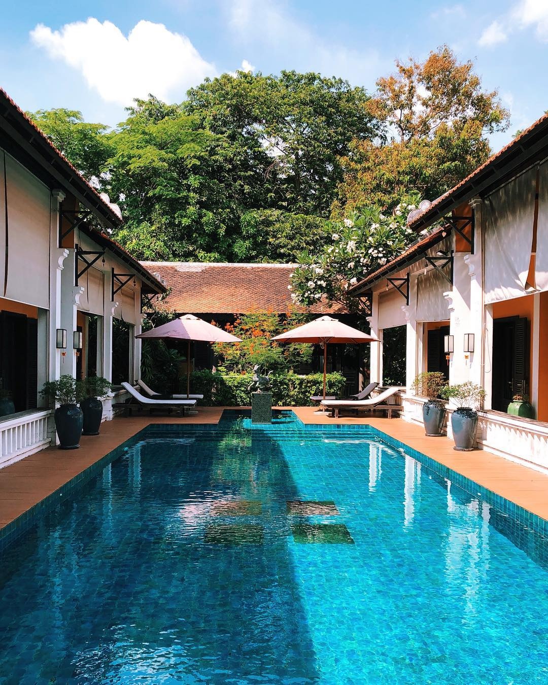 TP.HCM ảnh 5 TP.HCM anh 5