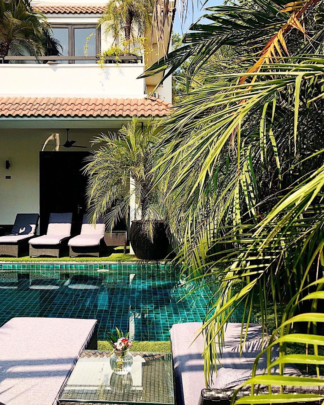 TP.HCM ảnh 11 TP.HCM anh 11