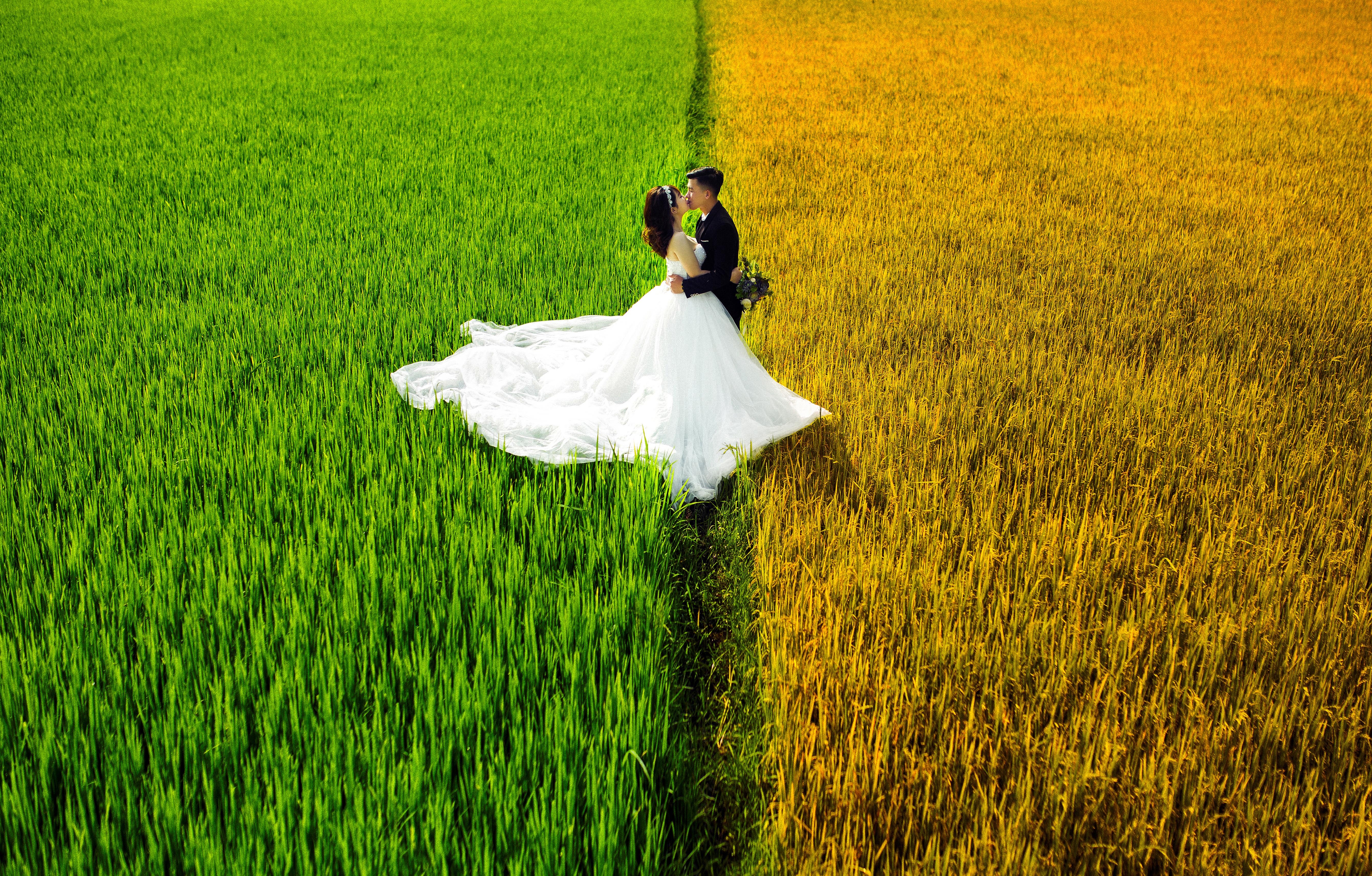 Gia Lai hoang so, tru tinh qua khung hinh cuoi hinh anh