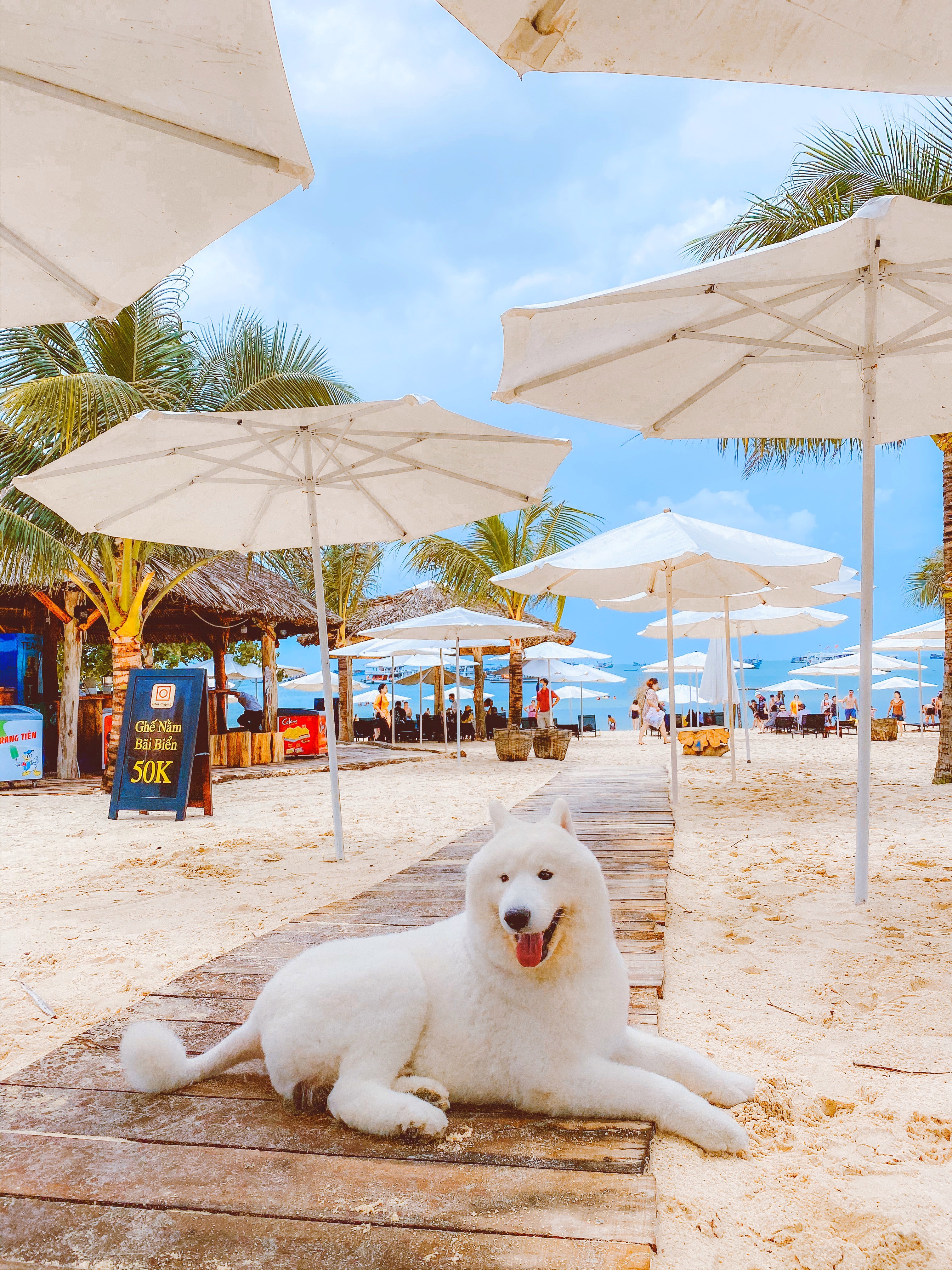 Phú Quốc ảnh 6 Phu Quoc anh 6