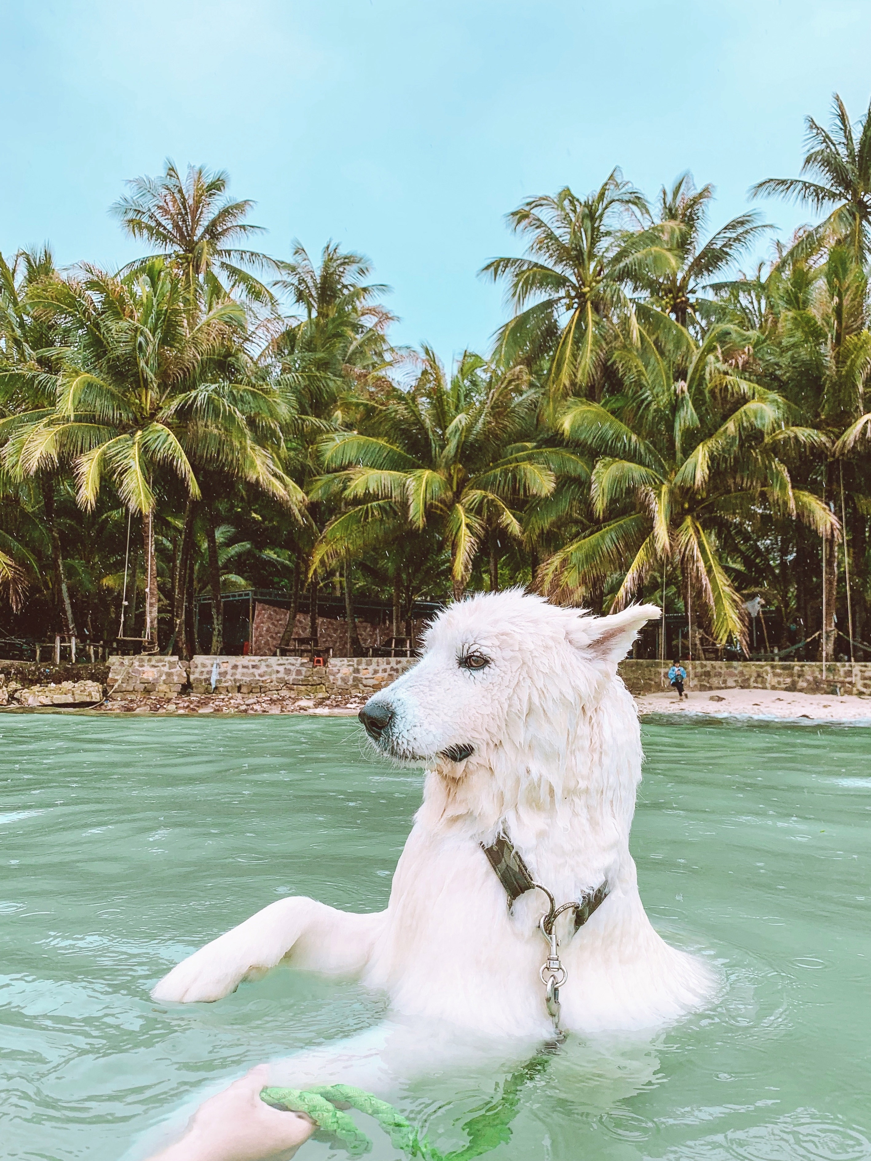 Phú Quốc ảnh 7 Phu Quoc anh 7