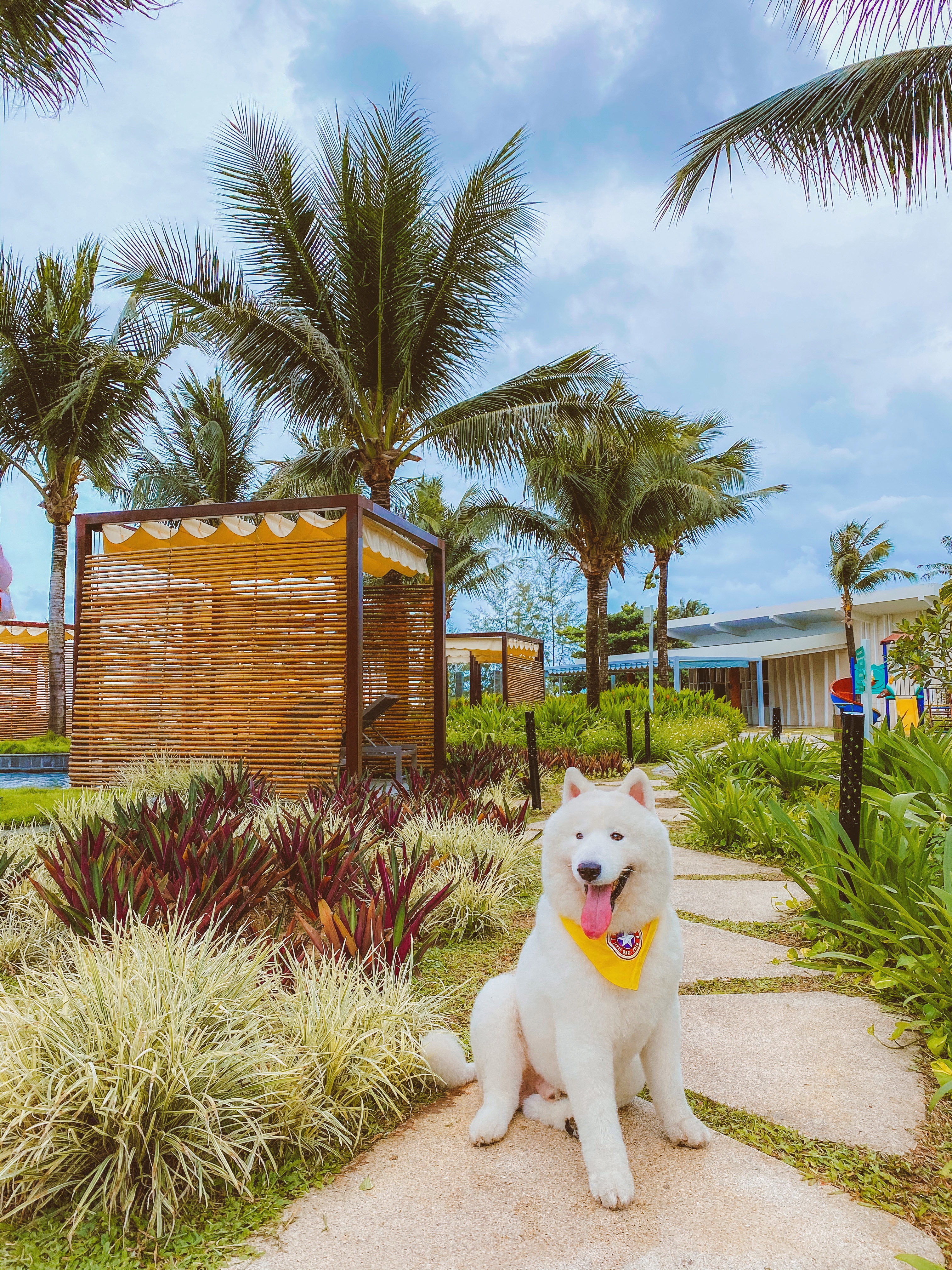 Phú Quốc ảnh 4 Phu Quoc anh 4